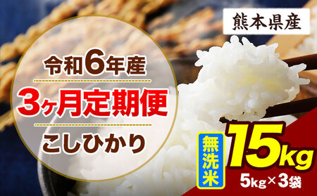 【3ヶ月定期便】令和6年産 こしひかり 15kg 無洗米 熊本県産 《申込み翌月から出荷》｜無洗米無洗米無洗米