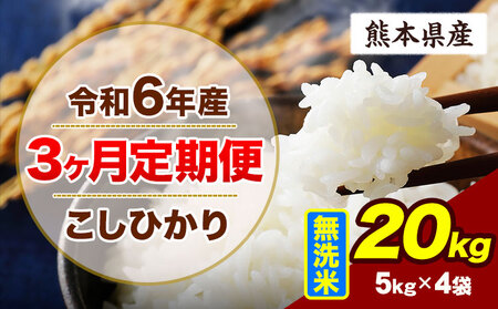 【3ヶ月定期便】令和6年産 こしひかり 20kg 無洗米 熊本県産 《申込み翌月から出荷》｜無洗米無洗米無洗米