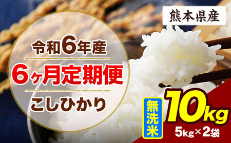 【6ヶ月定期便】令和6年産 こしひかり 10kg 無洗米 熊本県産 《申込み翌月から出荷》｜無洗米無洗米無洗米