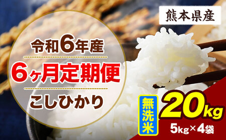 【6ヶ月定期便】令和6年産 こしひかり 20kg 無洗米 熊本県産 《申込み翌月から出荷》｜無洗米無洗米無洗米