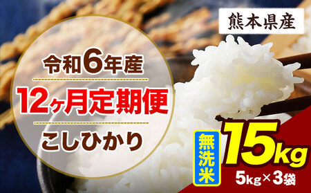 [12ヶ月定期便]令和6年産 定期便 こしひかり 15kg 無洗米 阿蘇 うぶやま 米 定期便 熊本県産 ふるさと納税 精米 ひの 米 こめ ふるさとのうぜい コシヒカリ コメ お米 おこめ