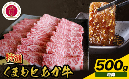 厳選 GI認証 くまもと あか牛 特選 焼肉 500g 桜屋[30日以内に出荷予定(土日祝除く)] 熊本県 産山村 肉 焼肉 GI認証 送料無料