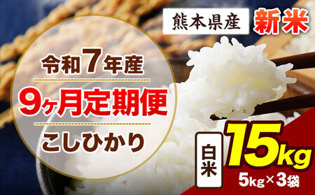 �y9��������ցz�ߘa7�N�Y ����� �����Ђ��� 15kg �V�� ���� ���h ���Ԃ�� �� ����� �F�{���Y �ӂ邳�Ɣ[�� ���� �Ђ� �� ���� �ӂ邳�Ƃ̂����� �R�V�q�J�� �R�� ���� �����߁s���\���ݗ�