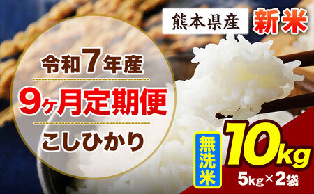 �y9��������ցz�ߘa7�N�Y ����� �����Ђ��� 10kg �V�� ������ ���h ���Ԃ�� �� ����� �F�{���Y �ӂ邳�Ɣ[�� ���� �Ђ� �� ���� �ӂ邳�Ƃ̂����� �R�V�q�J�� �R�� ���� �����߁s���\����