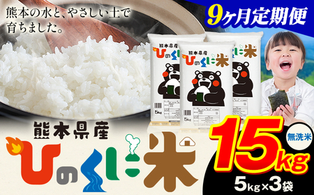 �y9��������ցz ������ �Ђ̂��ɕ� 15kg �s���\���ݗ�������o�ׁt �H�i �� ���� �R�� �F�{���Y �ӂ邳�Ɣ[�� ���� ������ �F�{