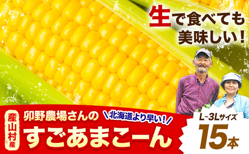 とうもろこし 15本 とうもろこし【着日指定不可】