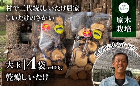 阿蘇・産山村産 旨味が凝縮!原木乾燥しいたけ 大玉400g(100g×4袋)