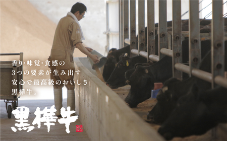 熊本県産黒毛和牛 黒樺牛焼肉用カルビ 250g