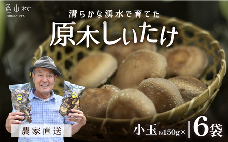 原木 生 しいたけ 小玉 900g 小分け|しいたけしいたけしいたけ