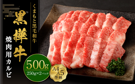 ܂ƍјa {{X  A4`A5 ēpJr 500g