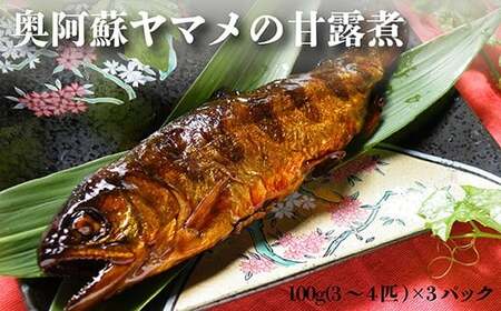 奥阿蘇 ヤマメ 甘露煮 100g×3パック 3〜4匹 熊本県 高森町産