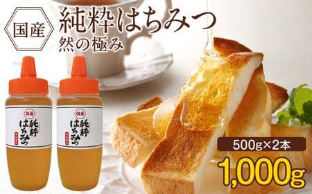 国産 純粋はちみつ 然の極み 1kg(500g×2本)セット(とんがり容器)[2024年12月発送]国産 百花 蜂蜜 はちみつ ハチミツ