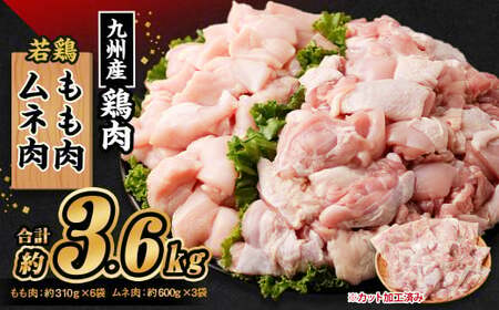 BY{  i310g×6܁j l i600g×3܁jv3.6kg Zbg { { {ނ˓  BY Y Ⓚ