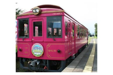 ݐؗ IWiwbh}[Nty2z11g