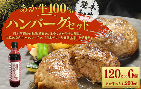 あか牛 100% ハンバーグ セット(あか牛ハンバーグ120g×6個、あか牛のたれ200ml付き)