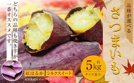 [紅はるか] 約5kg 大・中・小サイズ 混合 さつまいも サツマイモ さつま 芋いも 芋 [2024年11月下旬〜2025年5月上旬発送予定]