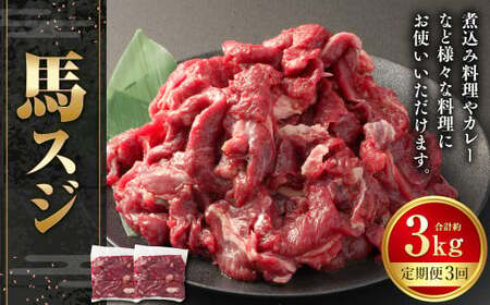 [3ヶ月定期便]馬スジ 約1kg 計約3kg 馬スジ 馬すじ 馬肉 馬 肉 すじ肉 煮込み 定期便 熊本県 西原村 冷凍
