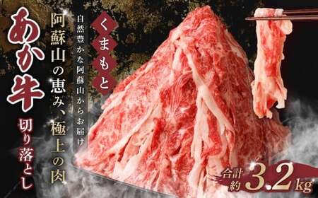 ܂  ؂藎Ƃ 3.2kg   a uh  ԋ Ԑg ؗ Ⓚ