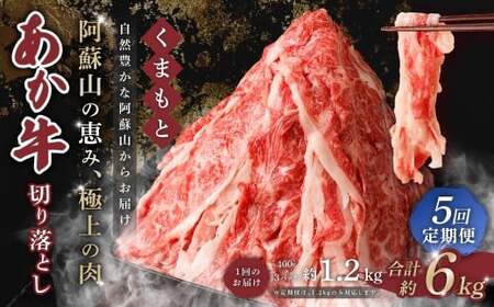 y 5  z܂  ؂藎Ƃ 1.2kg×5 v6kg   a uh  ԋ Ԑg ؗ Ⓚ