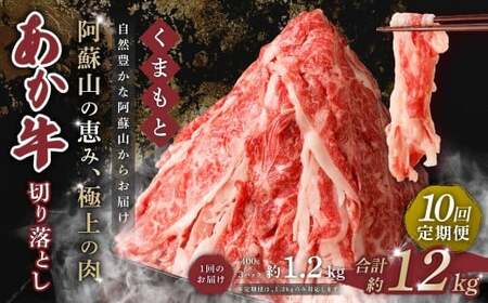 y 10  z܂  ؂藎Ƃ 1.2kg×10 v12kg   a uh  ԋ Ԑg ؗ Ⓚ