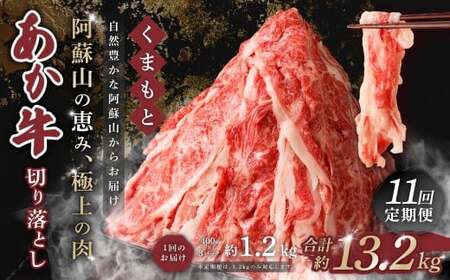 y 11  z܂  ؂藎Ƃ 1.2kg×11 v13.2kg   a uh  ԋ Ԑg ؗ Ⓚ