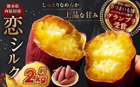 『 2024 - 2025 さつまいも博 シルクスイート 部門 グランプリ 受賞 』 恋シルク 約2kg サツマイモ さつまいも 芋 イモ 焼き芋