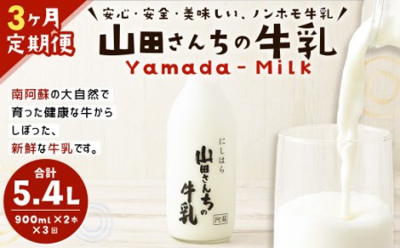 [3ヶ月定期便]山田さんちの牛乳 2本セット 900ml×2本 計3回 合計5.4L ノンホモ牛乳 牛乳