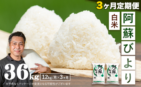 [3ヶ月定期便]訳あり 白米 米 送料無料 阿蘇びより 熊本県産 12kg 6kg×2袋 計3回[翌月から出荷開始]|白米白米白米白米白米白米白米白米白米白米白米白米白米白米白米白米白米白米白米白米白米白米白米白米白米白米白米白米白米白米白米白米白米白米白米白米白米白米白米白米白米白米白米白米白米白米白米白米白米白米白米白米白米白米白米白米白米白米白米白米白米白米白米白米白米白米白米白米白米白米白米白米白米白米白米白米白米白米白米白米白米白米白米白米白米白米白米白米白米白米白米白米白米白米白米白米白米白米白米白米白米白米白米白米白米白米白米白米白米白米白米白米白米白米白米白米白米白米白米白米白米白米白米白米白米白米白米白米白米白米白米白米白米白米白米白米白米白米白米白米白米白米白米白米白米白米白米白米白米白米白米白米白米白米白米白米白米白米白米白米白米白米白米白米白米白米白米白米白米白米白米白米白米白米白米白米白米白米白米白米白米白米白米白米白米白米白米白米白米白米白米白米白米白米白米白米白米白米白米白米白米白米白米白米白米白米白米白米白米白米白米白米白米白米白米白米白米白米白米白米白米白米白米白米白米白米白米白米白米白米白米白米白米白米白米白米白米白米白米白米白米白米白米白米白米白米白米白米白米白米白米白米白米白米白米白米白米白米白米白米白米白米白米白米白米白米白米白米白米白米白米白米白米白米白米白米白米白米白米白米白米白米白米白米白米白米白米白米白米白米白米白米白米白米白米白米白米白米白米白米白米白米白米白米白米白米白米白米白米白米白米白米白米白米白米白米白米白米白米白米白米白米白米白米白米白米白米白米白米白米白米白米白米白米白米白米白米白米白米白米白米白米白米白米白米白米白米白米白米白米白米白米白米白米白米白米白米白米白米白米白米白米白米白米白米白米白米白米白米白米白米白米白米白米白米白米白米白米白米白米白米白米白米白米白米白米白米白米白米白米白米白米白米白米白米白米白米白米白米白米白米白米白米白米白米白米白米白米白米白米白米白米白米白米白米白米白米白米白米白米白米白米白米白米白米白米白米白米白米白米白米白米白米白米白米白米白米白米白米白米白米白米白米白米白米白米白米白米白米白米白米白米白米白米白米白米白米白米白米白米白米白米白米白米白米白米白米白米白米白米