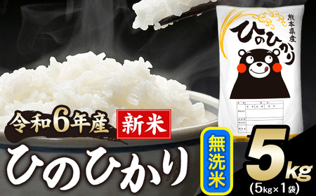 令和6年産 新米 早期先行予約受付中 ひのひかり 無洗米 5kg [11月-12月より出荷予定] 無洗米 精米 熊本県産(南阿蘇村産含む) 単一原料米 南阿蘇村