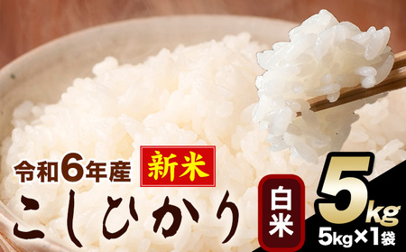 令和6年産 新米 こしひかり 白米 5kg白米 精米 熊本県産(南阿蘇村産含む) 単一原料米 南阿蘇村[11月-12月より出荷予定]