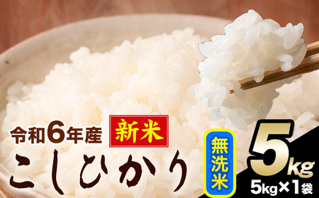 令和6年産 新米 こしひかり 無洗米 5kg 精米 熊本県産(南阿蘇村産含む) 単一原料米 南阿蘇村[11月-12月より出荷予定]