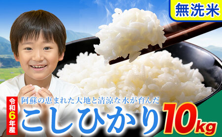 令和6年産 こしひかり 無洗米  10kg 精米 熊本県産(南阿蘇村産含む)  南阿蘇村《7-14日以内に出荷予定(土日祝除く)》｜人気米 熊本県産米  生活応援米