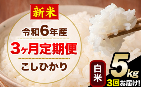 [3ヶ月定期便]令和6年産 新米 定期便 こしひかり 白米 定期便 5kg 精米 熊本県産(南阿蘇村産含む) 単一原料米 南阿蘇村[お申込み月の翌月から発送]