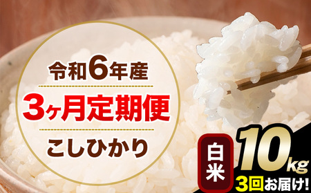 [3ヶ月定期便]令和6年産 定期便 こしひかり 白米 定期便 10kg 精米 熊本県産(南阿蘇村産含む) 南阿蘇村[申込み翌月から発送]|人気米 熊本県産米 生活応援米