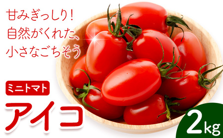 ~jg}g ACR 2kg ܂ӂ[ށs7{-11oׁtF{ 숢h ACRg}g  { Ė g}g