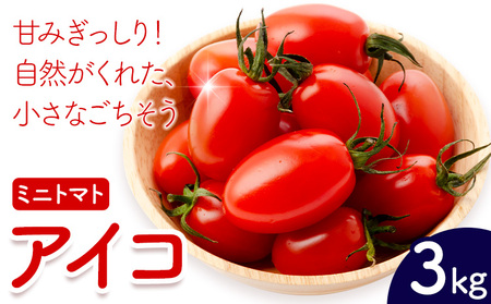 ~jg}g ACR 3kg ܂ӂ[ށs7{-11oׁtF{ 숢h ACRg}g  { Ė g}g