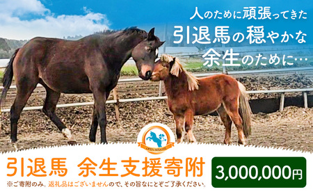 [返礼品なし]引退馬余生支援寄附 3,000,000円 一般社団法人オープンセサミアライブ 熊本県 南阿蘇村 馬 ウマ 支援 競走馬 引退馬 生活支援 動物愛護 保護 返礼品なし 寄附 牧場 オープンセサミ アニマルサンクチュアリ