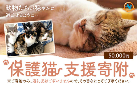 【返礼品なし】保護猫支援寄附 50,000円 一般社団法人オープンセサミアライブ 熊本県 南阿蘇村 保護猫 支援 猫 ネコ ねこ 生活支援 動物愛護 保護 返礼品なし 寄附 牧場 オープンセサミ アニマルサンクチュアリ