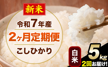 新米 令和7年産 [2ヶ月定期便] こしひかり 5kg 白米 精米 熊本県産(南阿蘇村産含む) 単一原料米 南阿蘇村 産 米 定期便[お申込月の翌月から出荷開始]