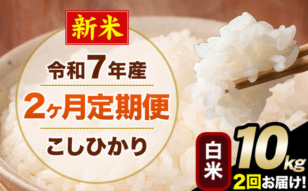 �V�� �ߘa7�N�Y �y2��������ցz �����Ђ��� 10kg ���� ���� �F�{���Y(�숢�h���Y�܂�) �P�ꌴ���� �숢�h�� �Y �� ����ցs���\�����̗�������o�׊J�n�t