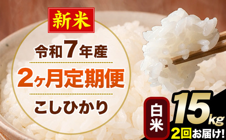 V ߘa7NY y2ցz Ђ 15kg   F{Y(숢hY܂) Pꌴ 숢h Y  ցs\̗o׊Jnt