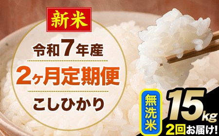 �V�� �ߘa7�N�Y �y2��������ցz �����Ђ��� 15kg ������ �F�{���Y(�숢�h���Y�܂�) �P�ꌴ���� �숢�h�� �Y �� ����ցs���\�����̗�������o�׊J�n�t