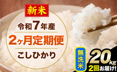 �V�� �ߘa7�N�Y �y2��������ցz �����Ђ��� 20kg ������ �F�{���Y(�숢�h���Y�܂�) �P�ꌴ���� �숢�h�� �Y �� ����ցs���\�����̗�������o�׊J�n�t