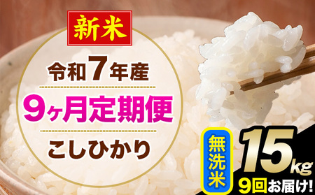 �V�� �ߘa7�N�Y �y9��������ցz �����Ђ��� 15kg ������ �F�{���Y(�숢�h���Y�܂�) �P�ꌴ���� �숢�h�� �Y �� ����ցs���\�����̗�������o�׊J�n�t