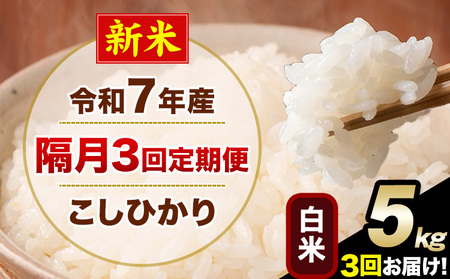 �V�� �ߘa7�N�Y �y�u��3�����ցz �����Ђ��� 5kg ���� ���� �F�{���Y(�숢�h���Y�܂�) �P�ꌴ���� �숢�h�� �Y �� ����ցs���\�����̗�������o�׊J�n�t