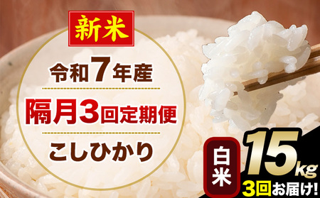 �V�� �ߘa7�N�Y �y�u��3�����ցz �����Ђ��� 15kg ���� ���� �F�{���Y(�숢�h���Y�܂�) �P�ꌴ���� �숢�h�� �Y �� ����ցs���\�����̗�������o�׊J�n�t