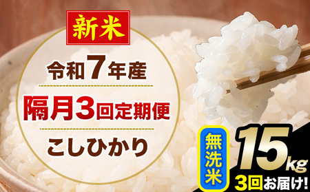 �V�� �ߘa7�N�Y �y�u��3�����ցz �����Ђ��� 15kg ������ �F�{���Y(�숢�h���Y�܂�) �P�ꌴ���� �숢�h�� �Y �� ����ցs���\�����̗�������o�׊J�n�t