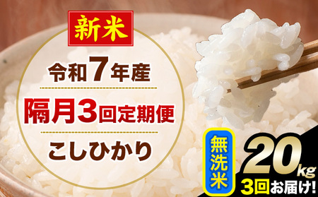 V ߘa7NY yu3ցz Ђ 20kg  F{Y(숢hY܂) Pꌴ 숢h Y  ցs\̗o׊Jnt