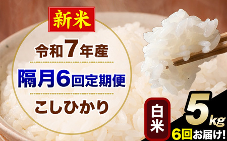 �V�� �ߘa7�N�Y �y�u��6�����ցz �����Ђ��� 5kg ���� ���� �F�{���Y(�숢�h���Y�܂�) �P�ꌴ���� �숢�h�� �Y �� ����ցs���\�����̗�������o�׊J�n�t