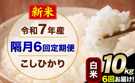 �V�� �ߘa7�N�Y �y�u��6�����ցz �����Ђ��� 10kg ���� ���� �F�{���Y(�숢�h���Y�܂�) �P�ꌴ���� �숢�h�� �Y �� ����ցs���\�����̗�������o�׊J�n�t